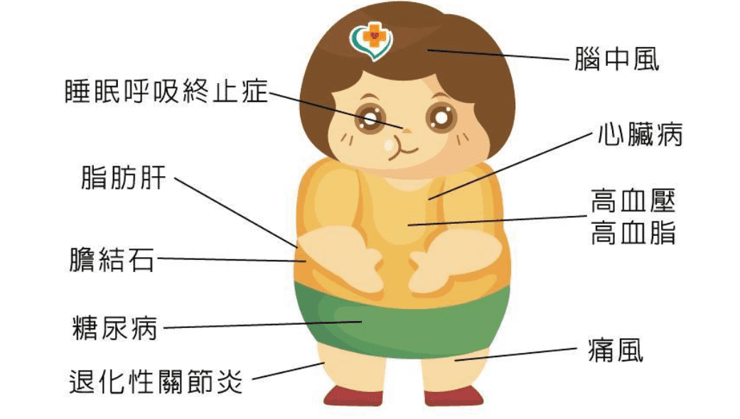 【文献解读】江西农业大学动物与营养实验室：浒苔多糖可改善肥胖小鼠的胰岛素敏感性和全身能量代谢