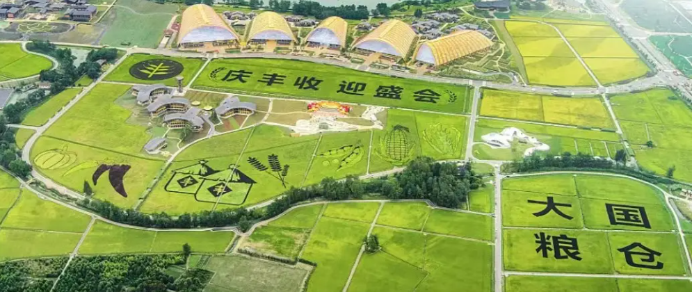 第五个中国农民丰收节|星空手机入口携农产品品质成分低场核磁快速分析仪 亮相天府农博园