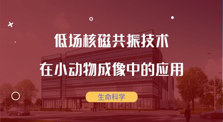 应用视频分享|低场核磁共振技术在小动物成像中的应用